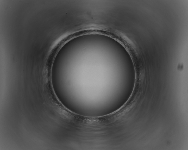 X0000090411310200707131138