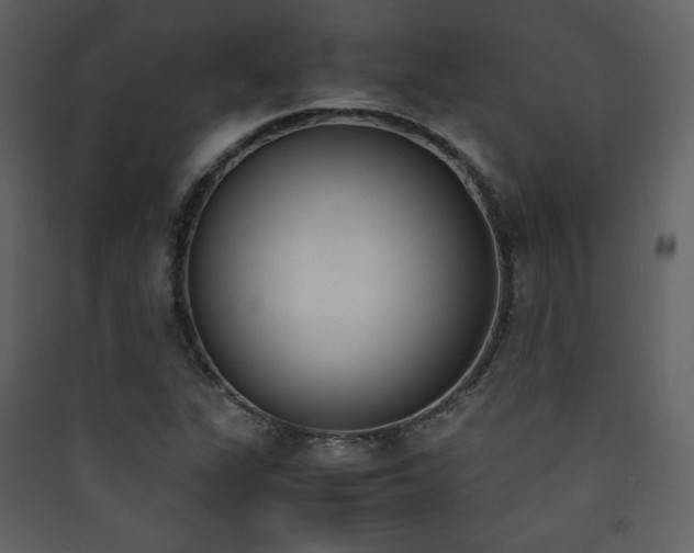 X0000090411311200707131138