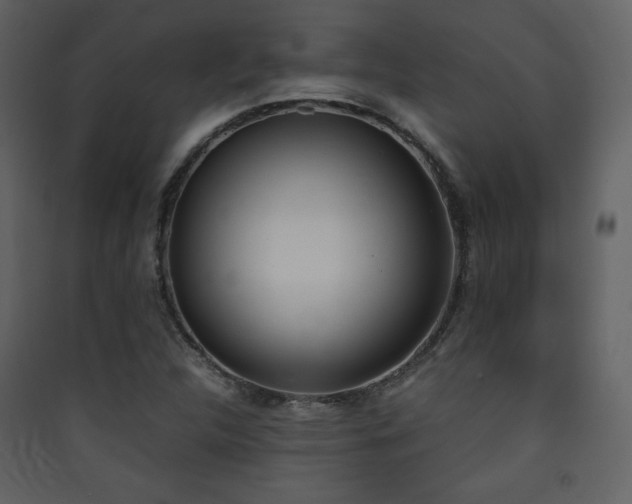 X0000090411312200707131138