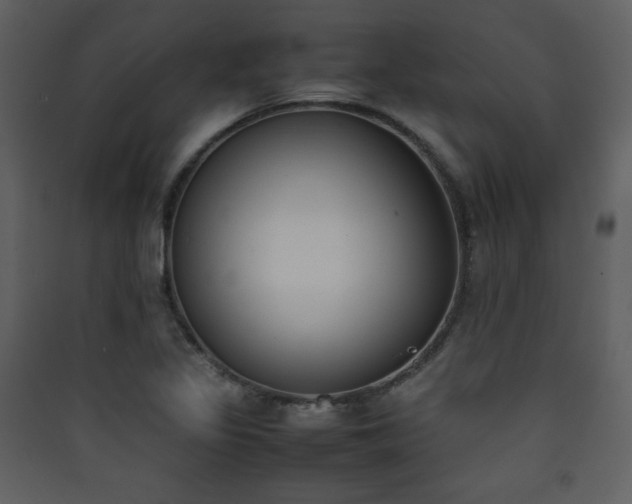 X0000090411317200707131138