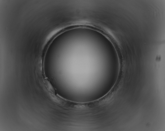 X0000090411320200707131138
