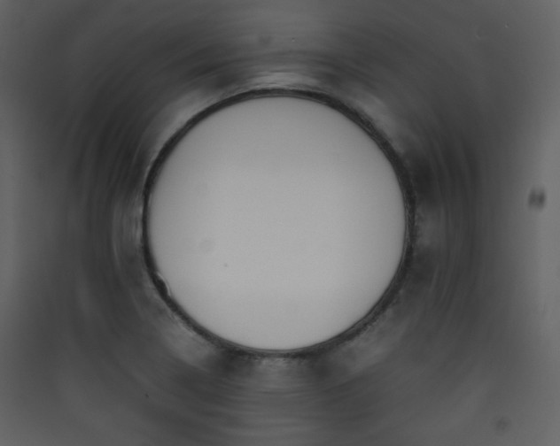 X0000090411322200707131138