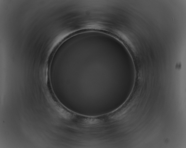 X0000090411323200707131138