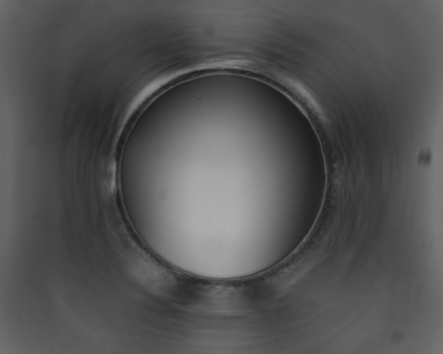 X0000090411324200707131138
