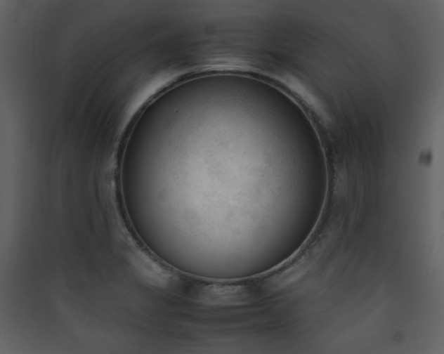 X0000090411325200707131138