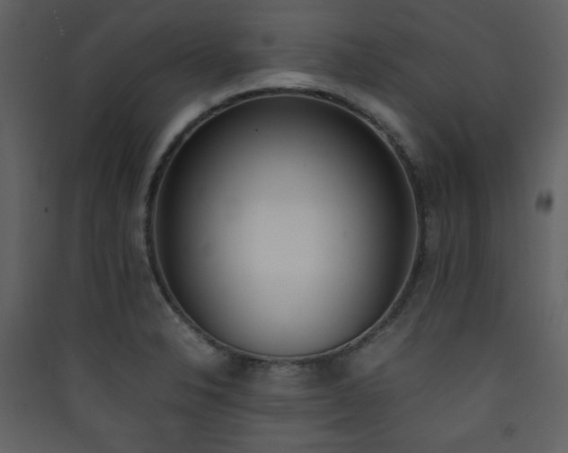 X0000090411326200707131138
