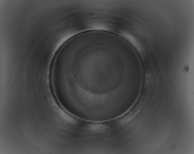 X0000090411331200707131138