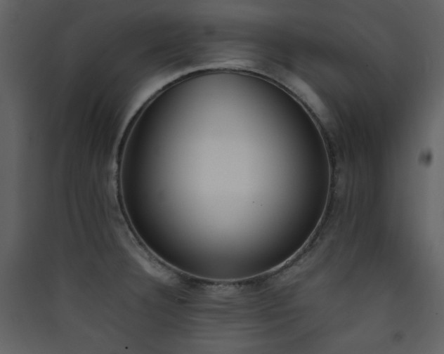 X0000090411332200707131138