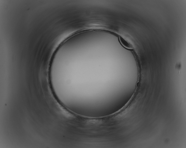 X0000090411333200707131138