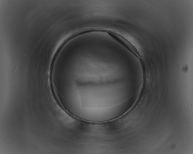 X0000090411334200707131139
