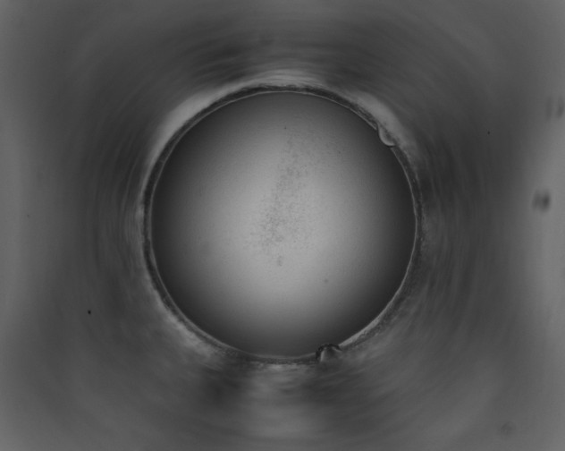 X0000090411335200707131139