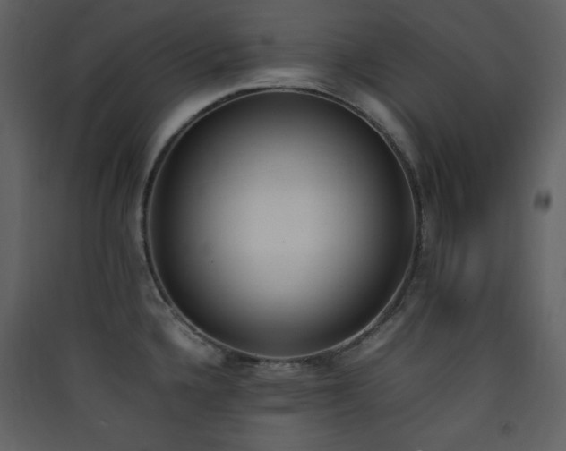 X0000090411336200707131139