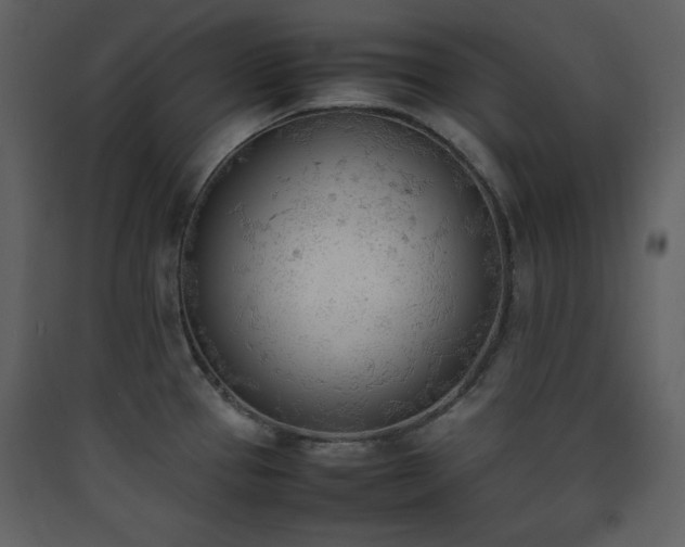 X0000090411337200707131139