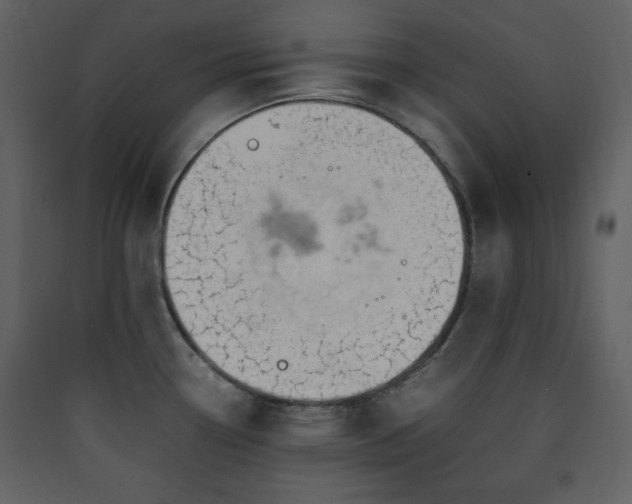 X0000090411338200707131139