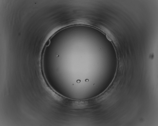 X0000090411339200707131139