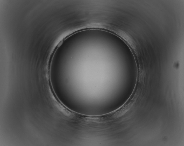 X0000090411342200707131139