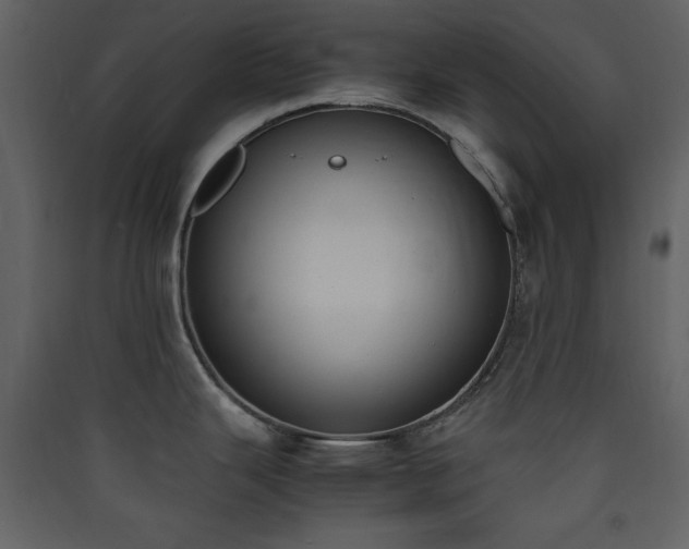 X0000090411343200707131139