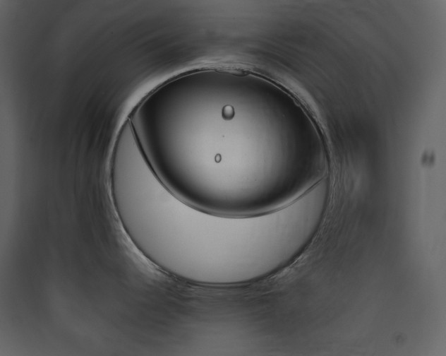X0000090411344200707131139