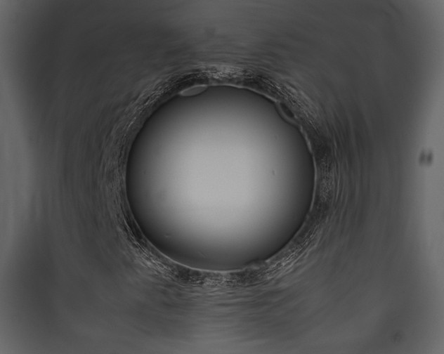X0000090411345200707131138