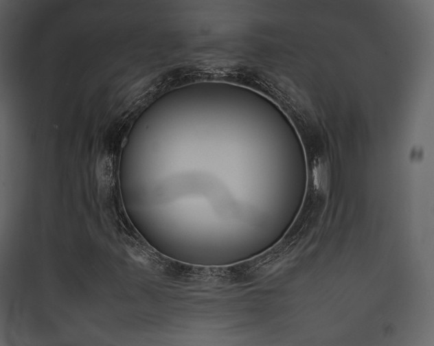 X0000090411347200707131138