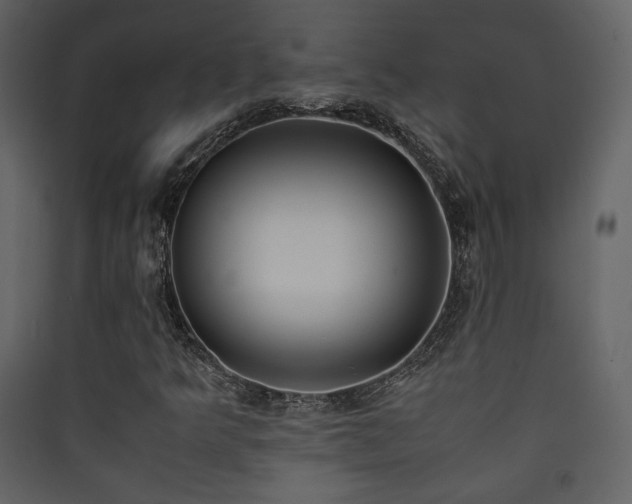 X0000090411349200707131138