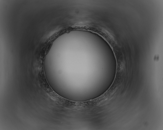 X0000090411350200707131138