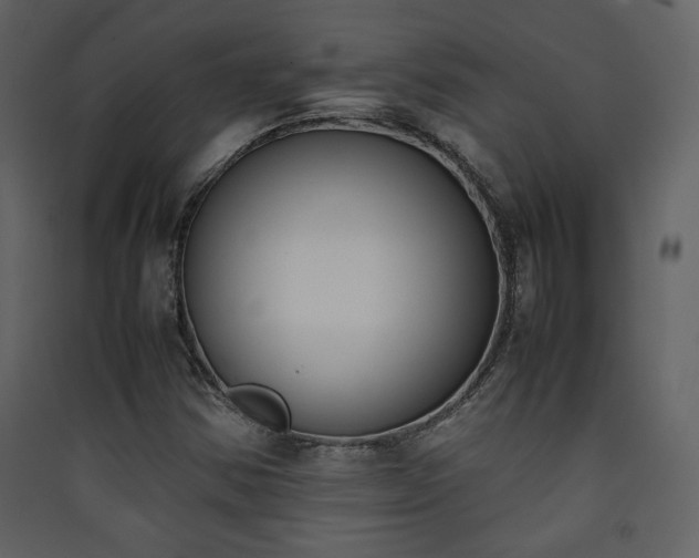 X0000090411354200707131138