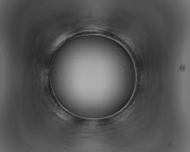 X0000090411355200707131138