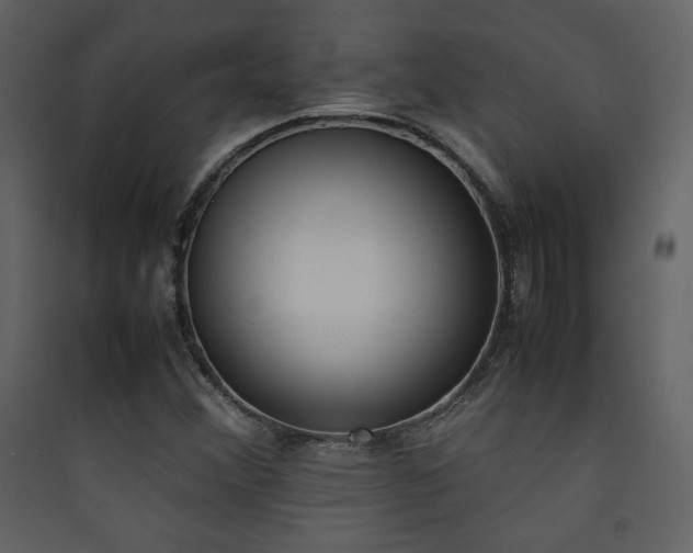 X0000090411356200707131138