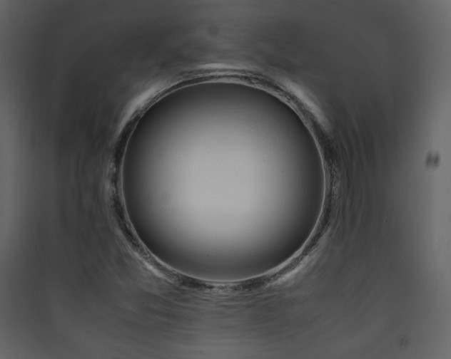 X0000090411357200707131138