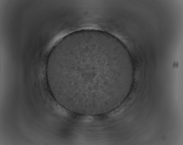 X0000090411359200707131138