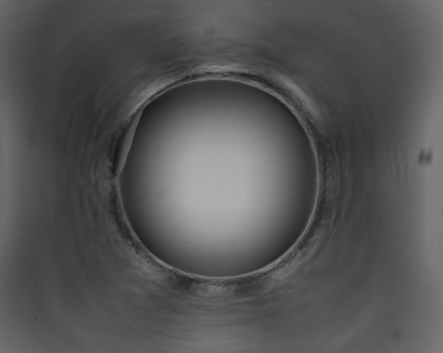 X0000090411361200707131138