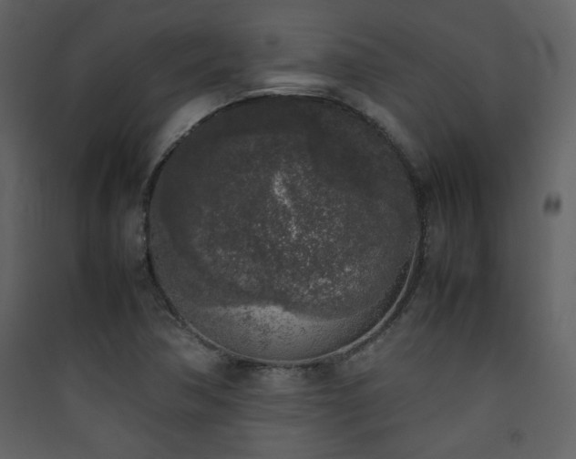 X0000090411362200707131138