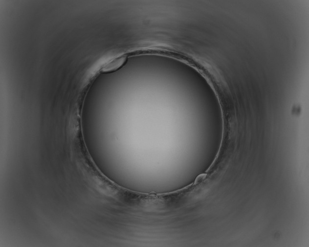 X0000090411363200707131138