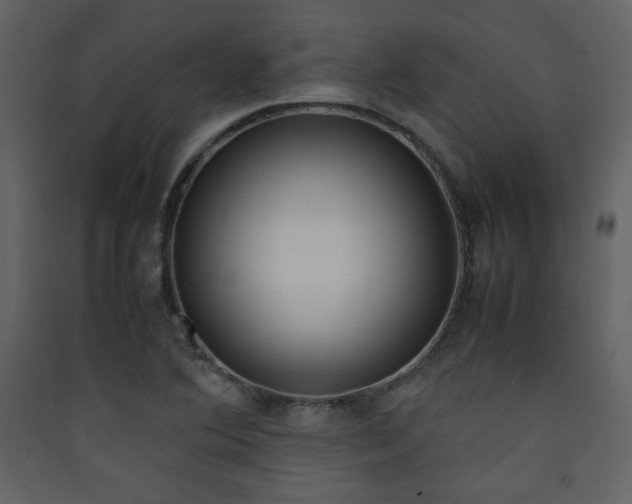 X0000090411364200707131138