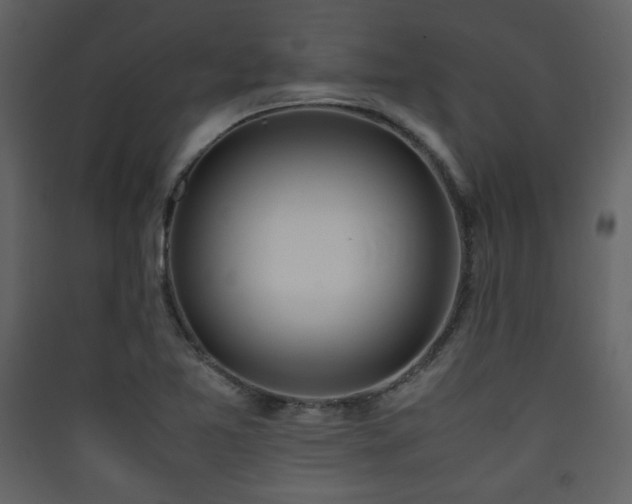 X0000090411365200707131138