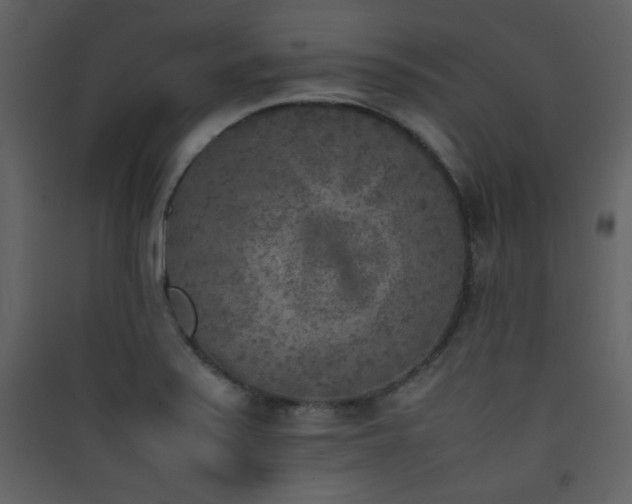 X0000090411371200707131138