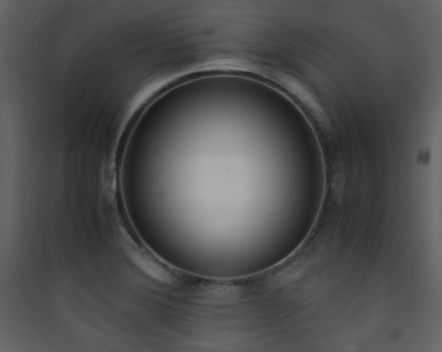 X0000090411372200707131138