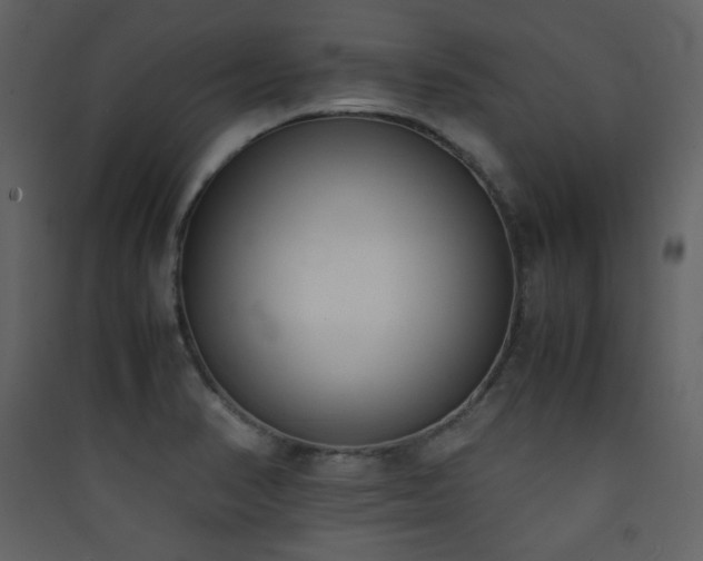 X0000090411374200707131137