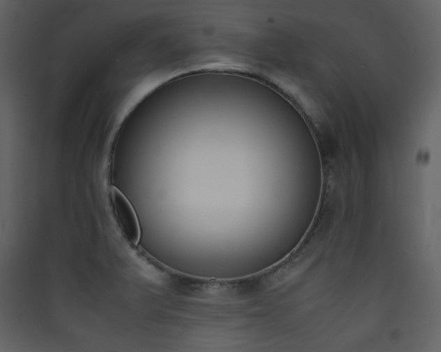 X0000090411375200707131137