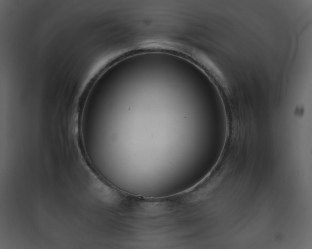 X0000090411376200707131137