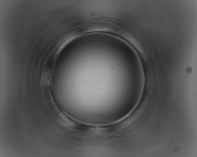 X0000090411377200707131137