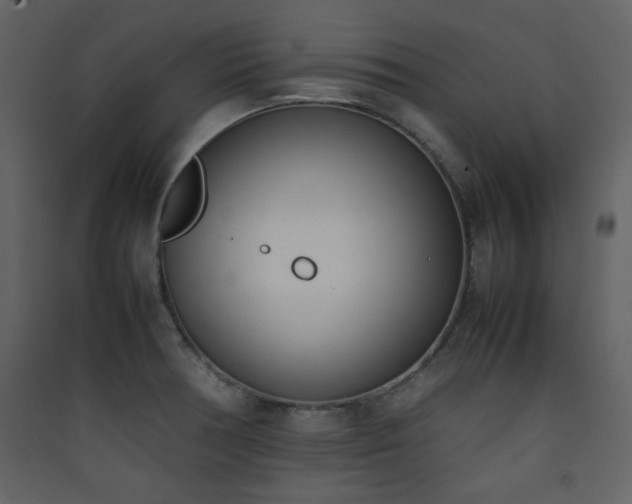 X0000090411378200707131137