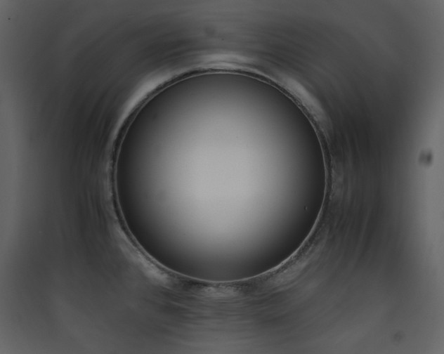 X0000090411384200707131137