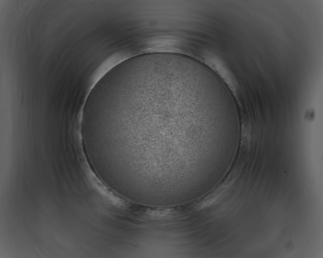 X0000090411386200707131137