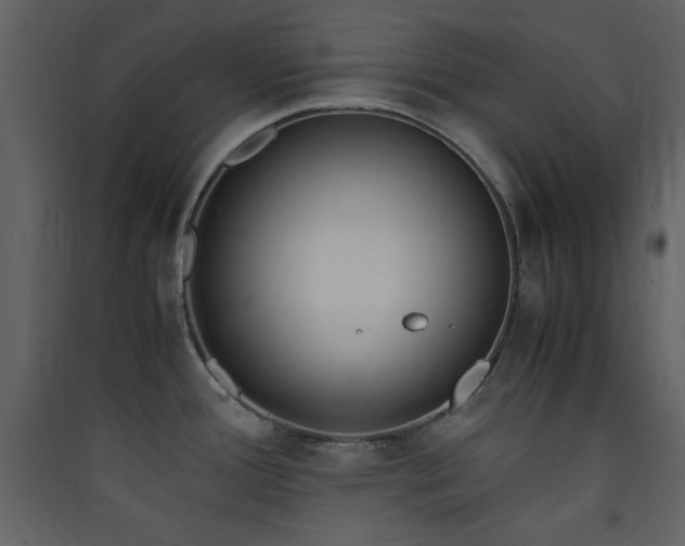 X0000090411388200707131137
