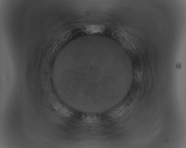 X0000090411393200707131137