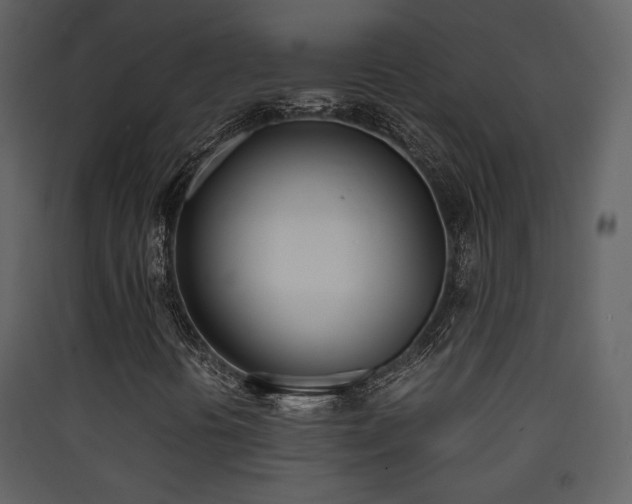X0000090411394200707131137