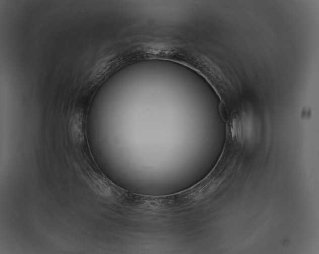 X0000090411396200707131137