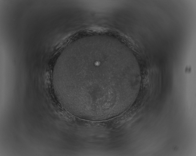 X0000090411397200707131137